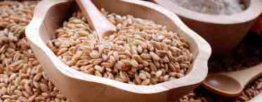 Какие получают крупы из пшеницы: названия и полезные свойства