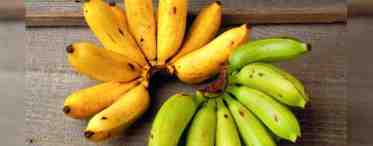 Состав банана и его полезные свойства