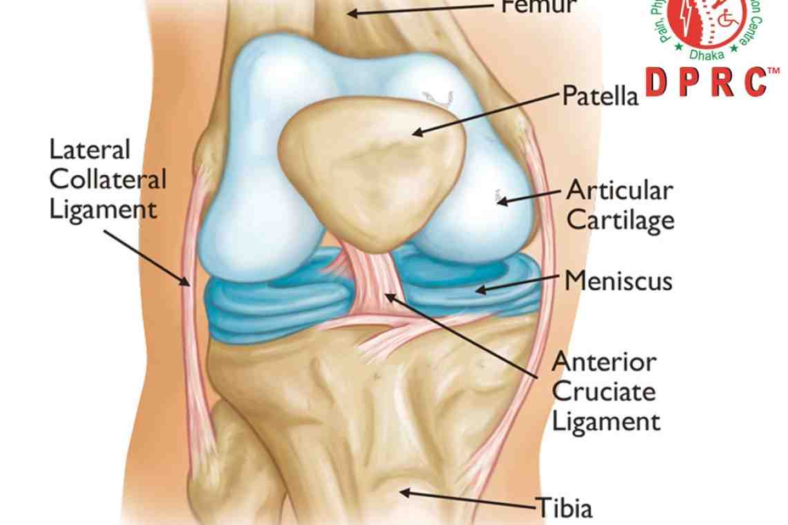 Мениск колена - это что такое, где находится? Симптомы повреждения мениска, методы лечения