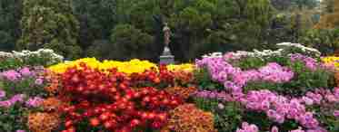 Ботанический сад в Крыму