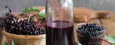 Вино и настойка из черноплодной рябины в домашних условиях