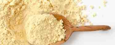 Сырный порошок: состав, применение в кулинарии