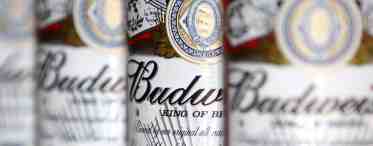 Пиво Bud: история возникновения и современность