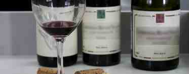 Что такое порошковое вино и как его определить?