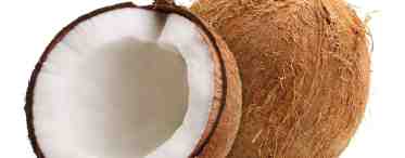Кокосовый орех: польза и вред