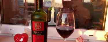 Чилийское красное сухое вино. Высококачественные красные и белые вина из Чили