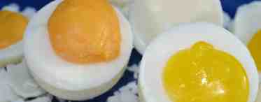 Искусственные яйца – возможно ли?