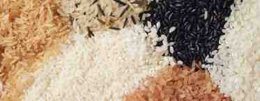 Виды риса и их использование в кулинарии