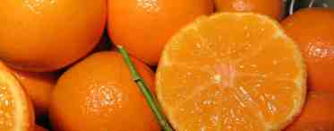 Что такое апельсин? Сорта апельсинов. Где растут самые вкусные апельсины