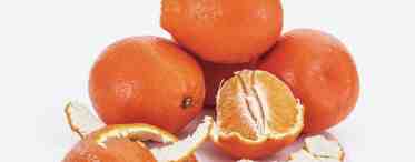 Виды цитрусовых фруктов: названия, описания и интересные факты