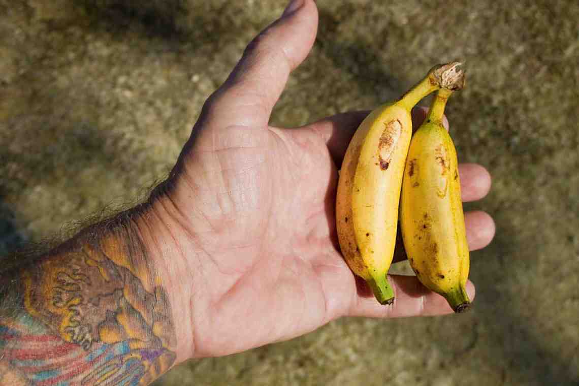 Что полезнее - маленький банан или большой?