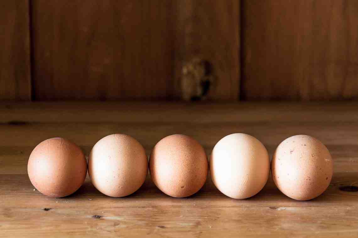 Яйца: полезные свойства, химический состав и пищевая ценность