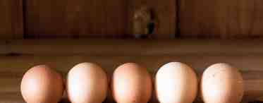 Яйца: полезные свойства, химический состав и пищевая ценность