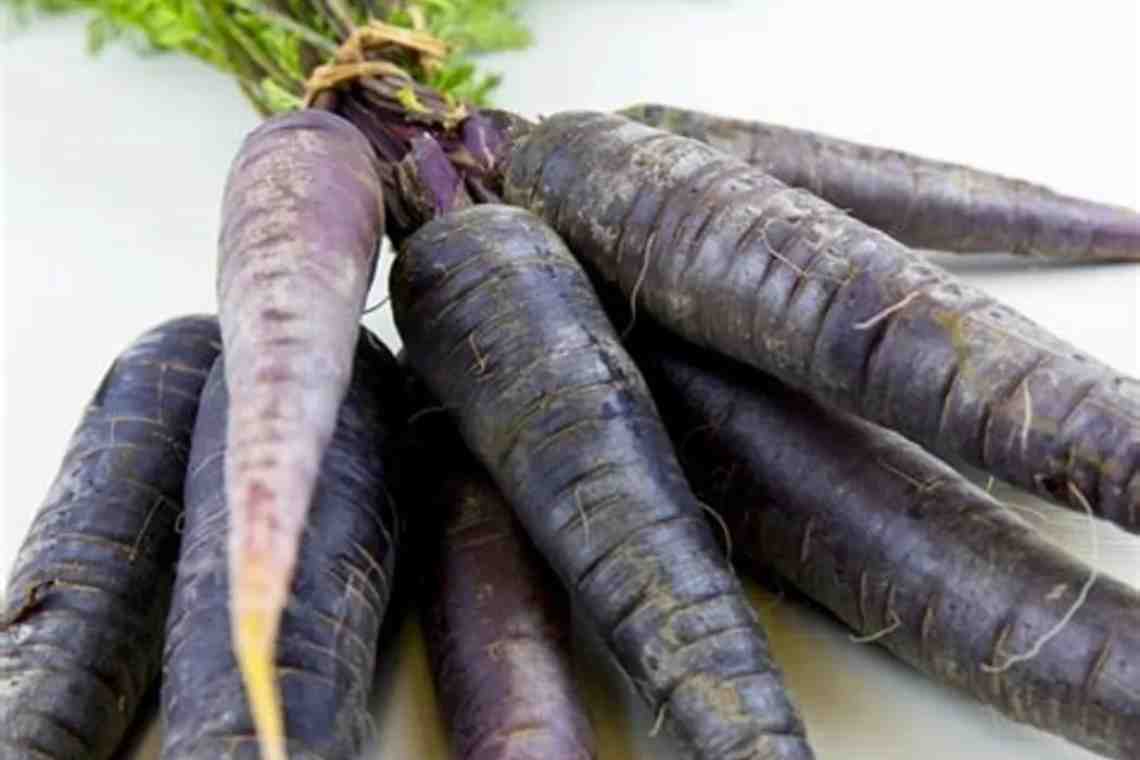 Черная морковь: древняя, полезная, вкусная