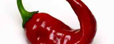 Красный стручковый перец – незаменимая приправа
