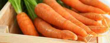 Хранение моркови без хлопот