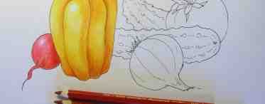 Занятия с детьми: как нарисовать морковь поэтапно