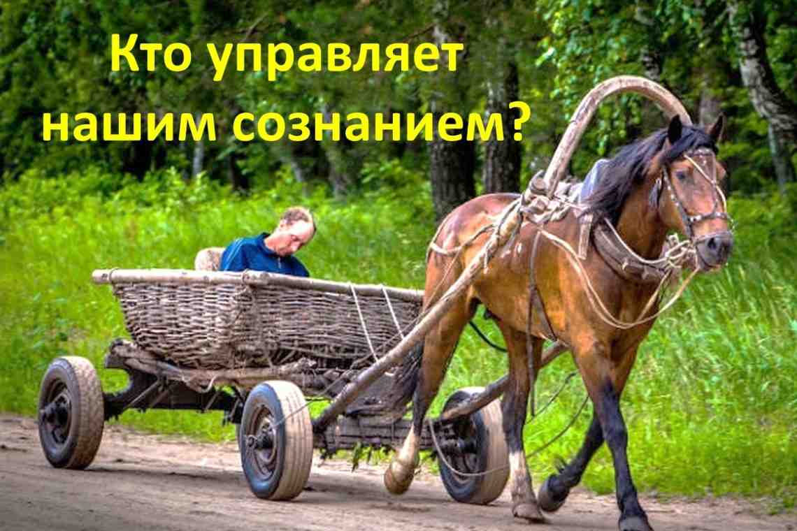 Что такое подвода? Как работает, используется ли сегодня?