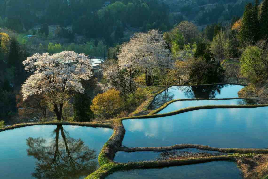 Самые большие, быстрые и удивительные реки Японии