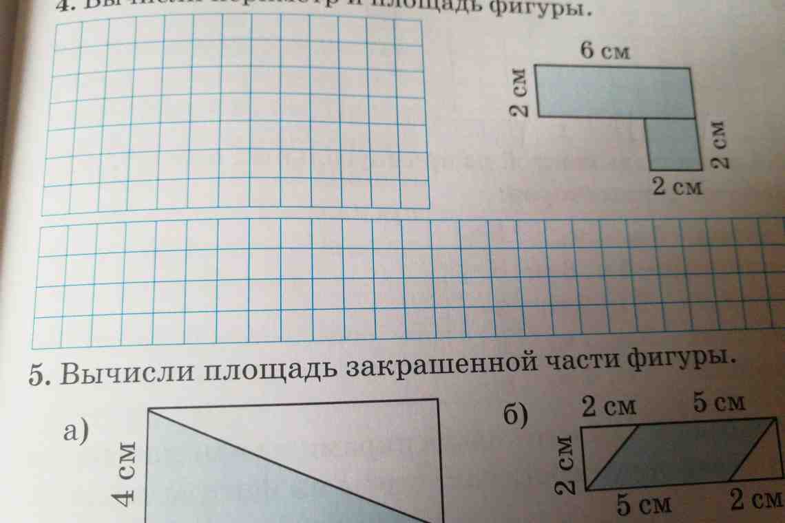 Как посчитать площадь прямоугольника: практические советы