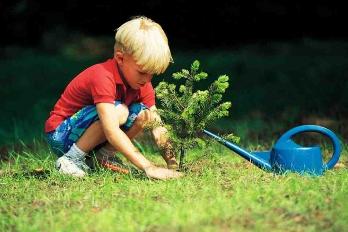 Методика экологического воспитания дошкольников