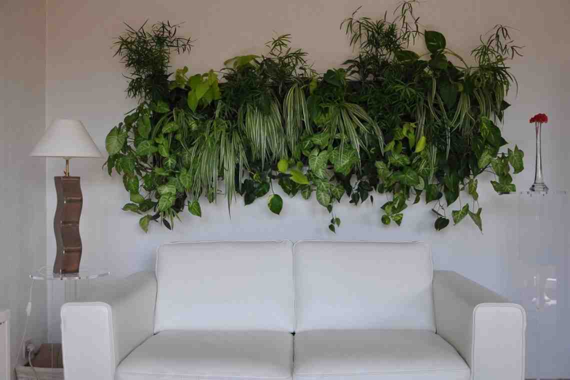 Размещение комнатных растений