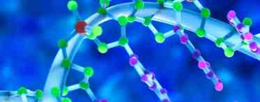 Наблюдение за белковыми молекулами в клетках