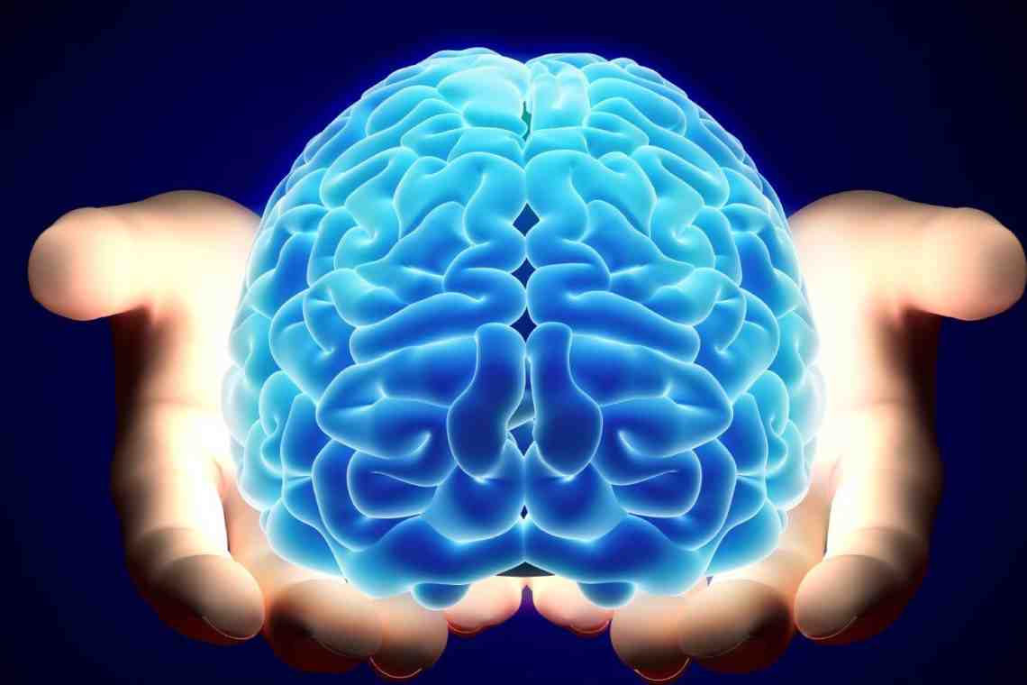 Тайны человеческого мозга