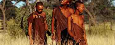 Африканские племена бушменов