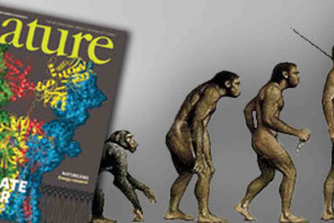 Про эволюционную теорию Дарвина