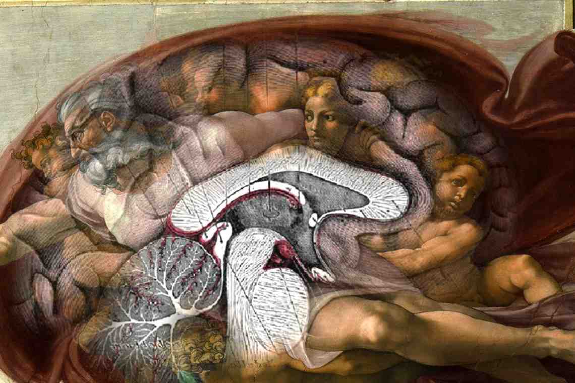 Изображение мозга на фреске Микеланджело