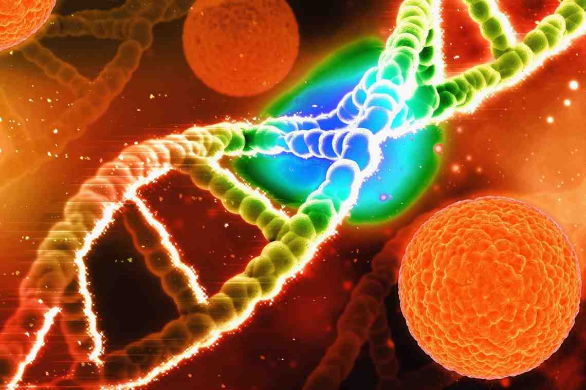Синтез митохондриальной ДНК