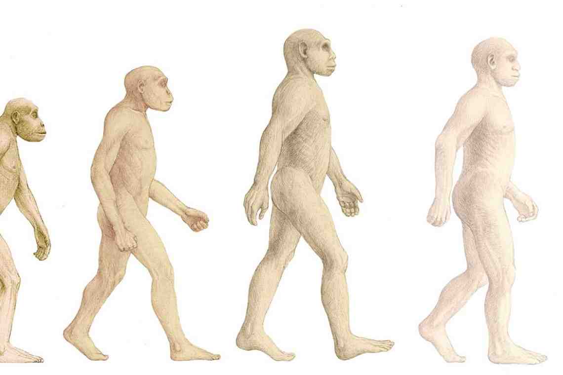 Эволюция необратима