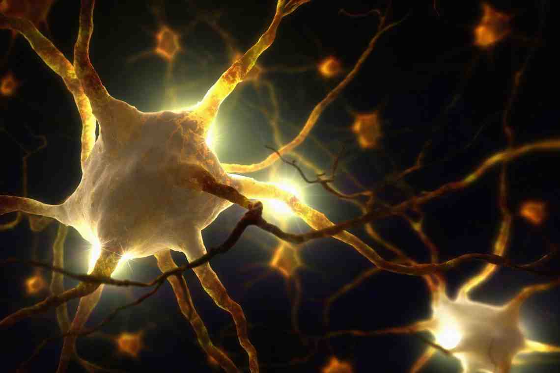 Влияние психоделиков на нервные клетки