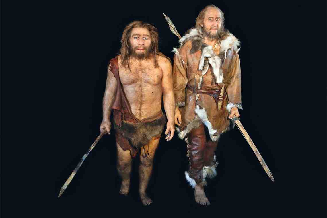 Кроманьонцы и неандертальцы