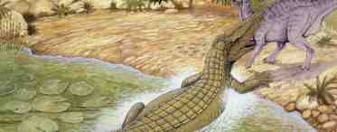 Найдены останки двуногих крокодилов триасового периода