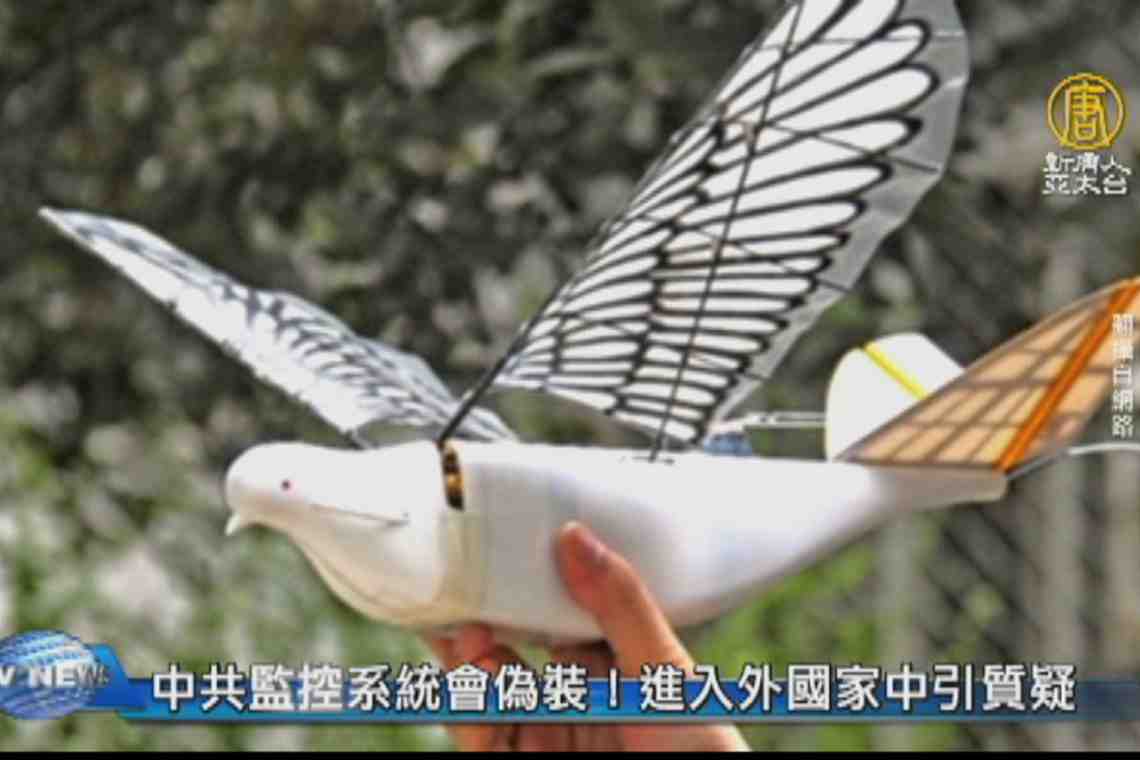 Инженеры мечтают послать в разведку робота-голубя