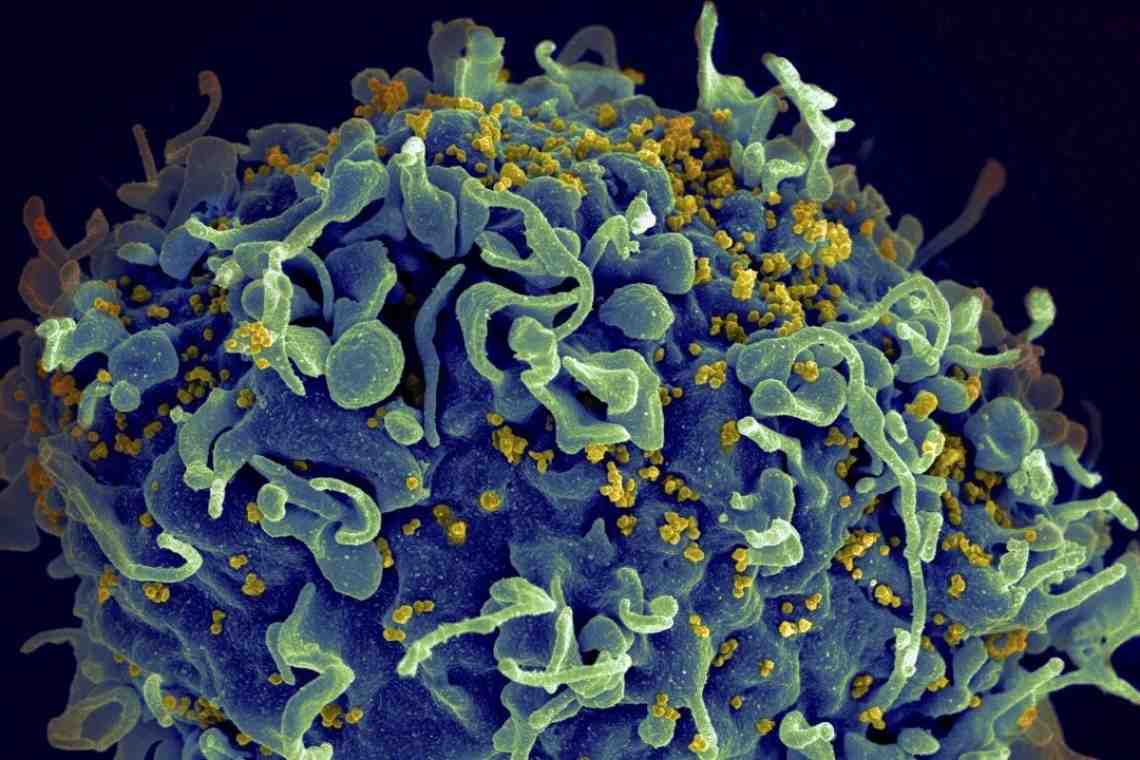 Мутации вируса ВИЧ
