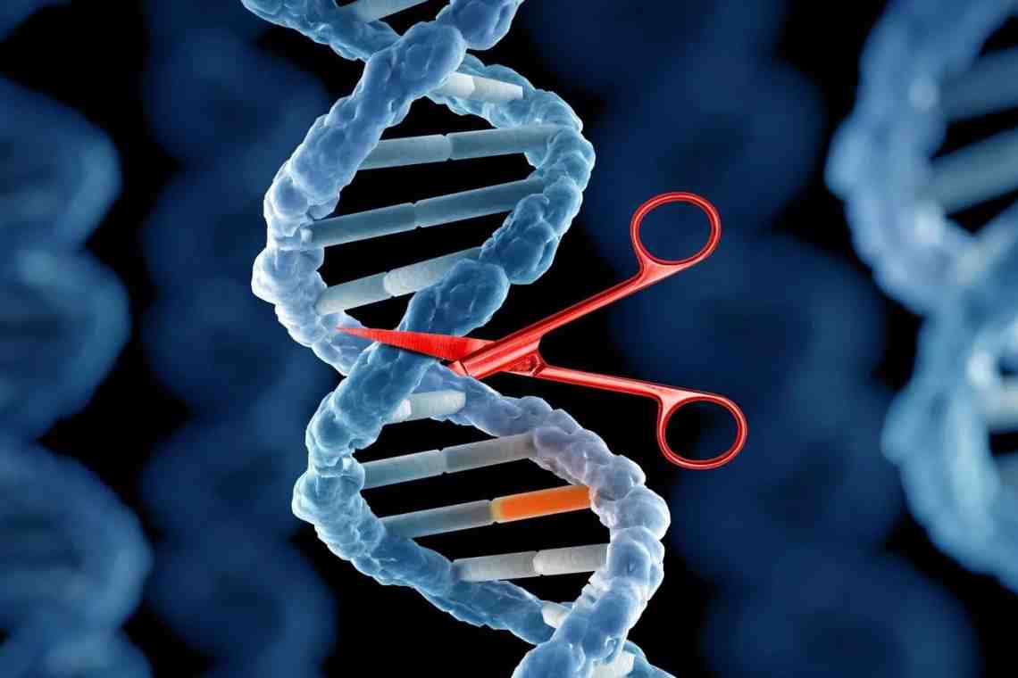 Полноценный геном человека