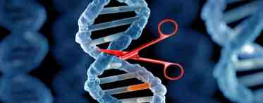 Полноценный геном человека