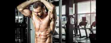 Фитнес и типы мужского телосложения: советы по составлению программы