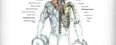 Как качать мышцы плеч