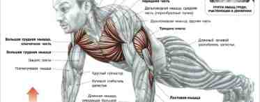 Как накачать мышцы отжиманием