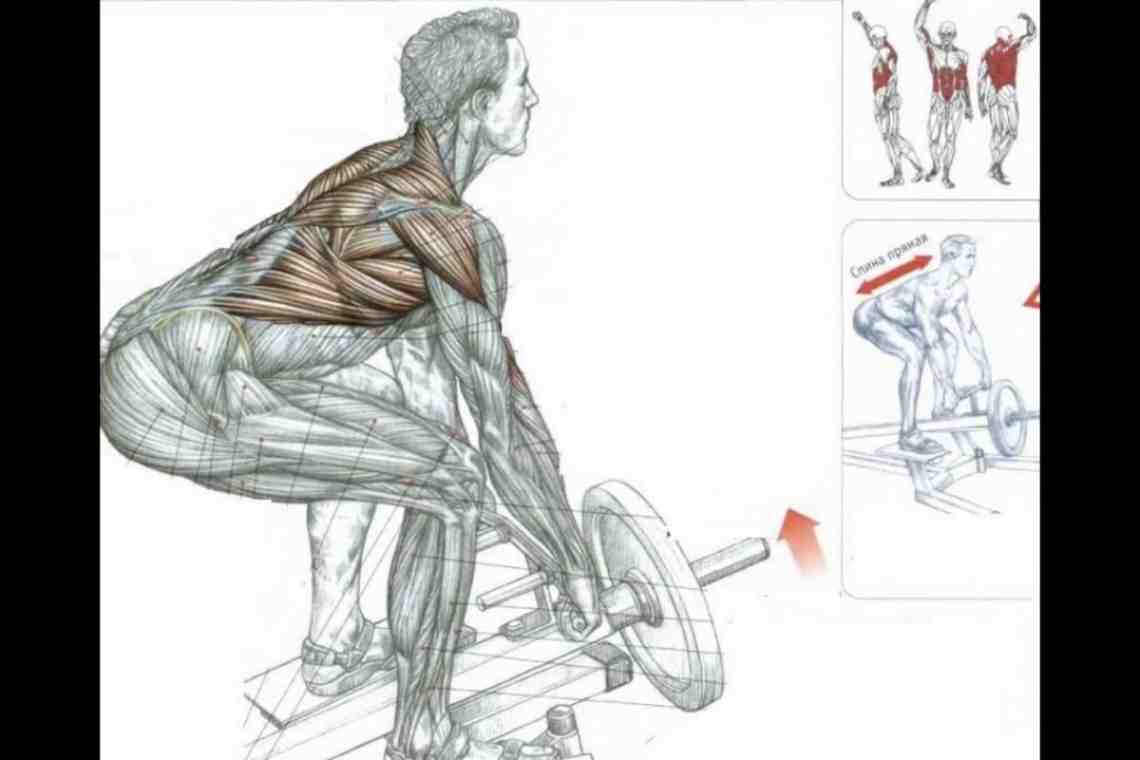 Как накачать мышцы и быть сильнее