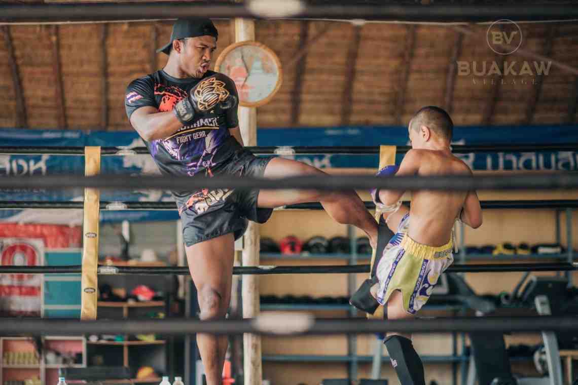 Основы тайского бокса