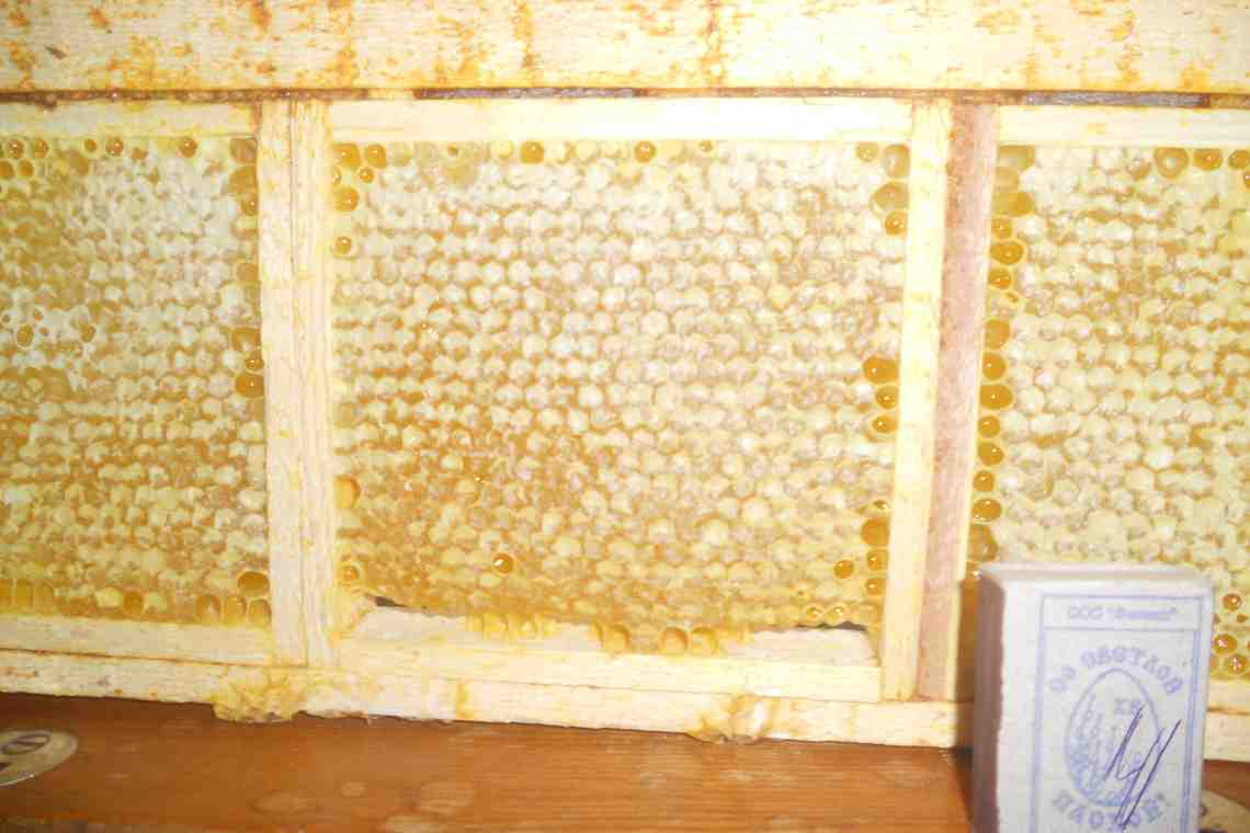 Как хранят мед в сотах "