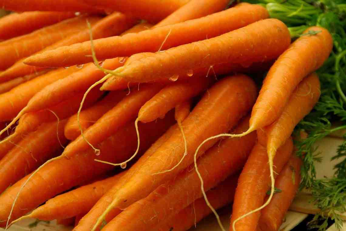 Гликемический индекс моркови сырой и вареной. Польза моркови. Рецепты