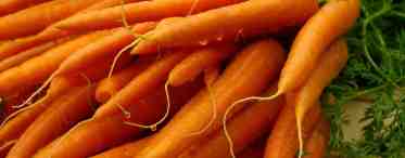 Гликемический индекс моркови сырой и вареной. Польза моркови. Рецепты
