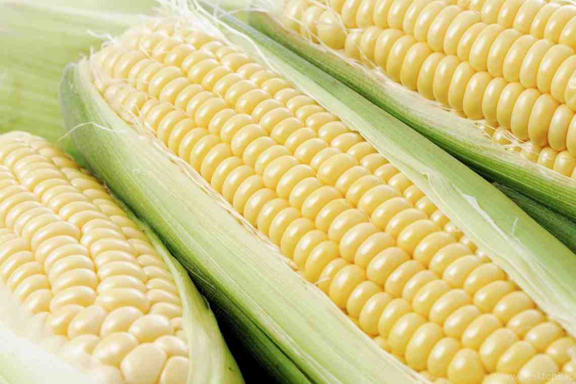 Вареная кукуруза при похудении - калорийность, особенности употребления и рекомендации