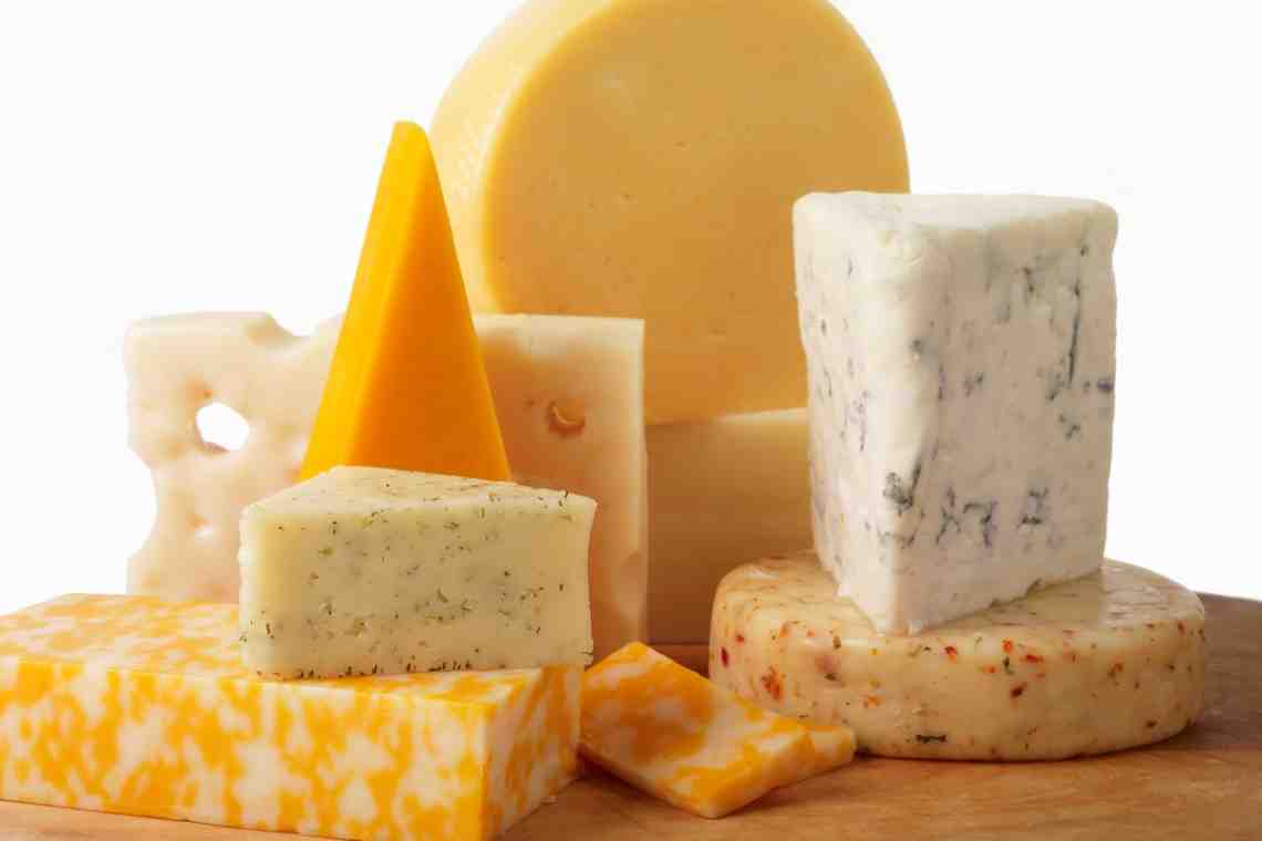 Полезен ли сыр для организма человека?